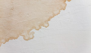 How to Remove Water Stains from Walls and Ceilings