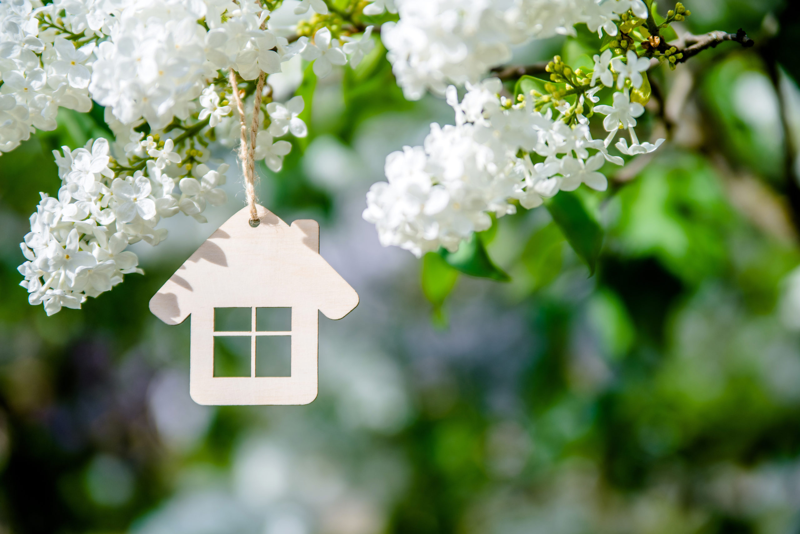 Top Maintenance Services Your HOA Will Need Before Spring