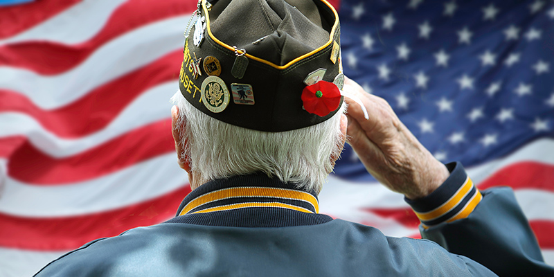 celebrate veterans day